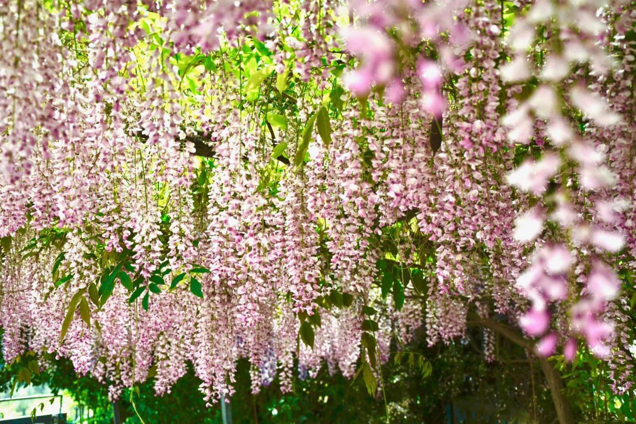 B&B Il Giardino Stellato Весте Екстериор снимка