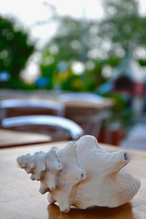 B&B Il Giardino Stellato Весте Екстериор снимка
