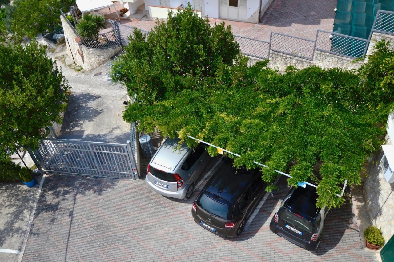 B&B Il Giardino Stellato Весте Екстериор снимка